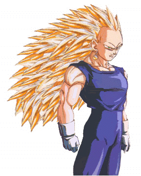 vegetto3.gif